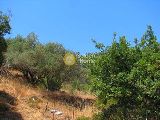 Οικόπεδο 1.287 τ.μ. για πώληση, Ν. Σάμου, Ικαρία-thumb-5