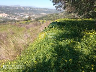 Οικόπεδο 880 τ.μ. για πώληση