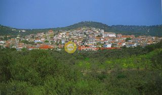 Οικόπεδο 7.500 τ.μ. για πώληση