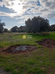 Οικόπεδο 4.800 τ.μ. για πώληση