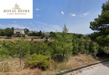 Οικόπεδο 1.249τ.μ. για πώληση-Ανθούσα