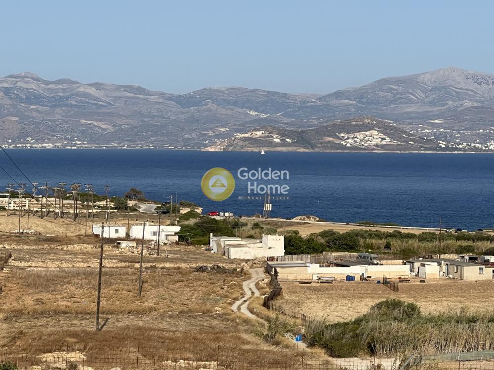 Αγροτεμάχια 4.305 τ.μ. προς πώληση, Αμπελάς