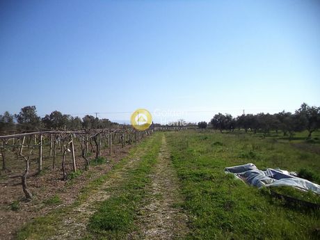 Parcel 3.103sqm for sale-Diakopto » Nea Kerineia
