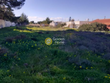 Land plot 500sqm for sale-Zarakas » Mitropoli