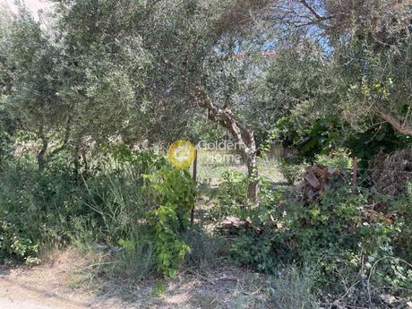 Land plot 290sqm for sale-Patra » Proastio