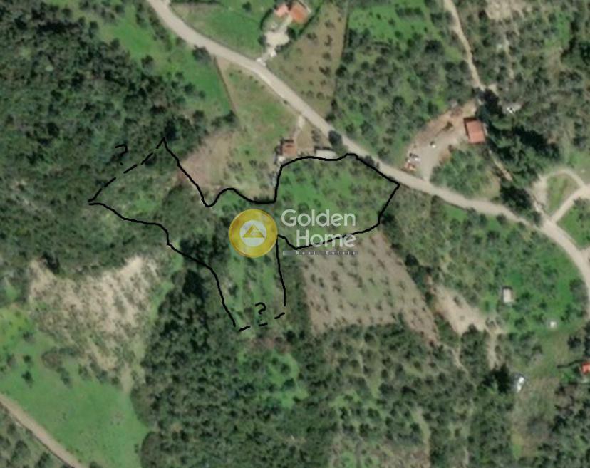 Οικόπεδο 8.474 τ.μ. προς πώληση, Μυρτιάς