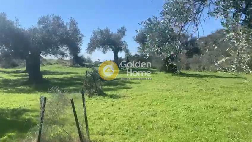 Οικόπεδο 8.474 τ.μ. προς πώληση, Μυρτιάς