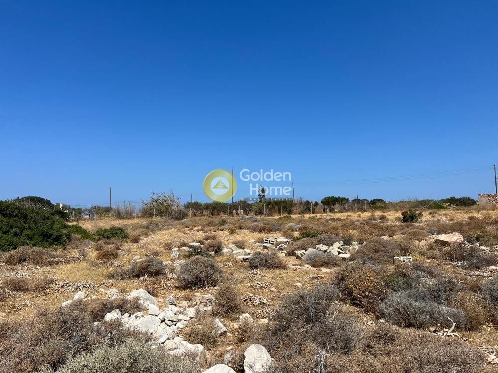 Οικόπεδο 11.836 τ.μ. προς πώληση, Αγκαιριά