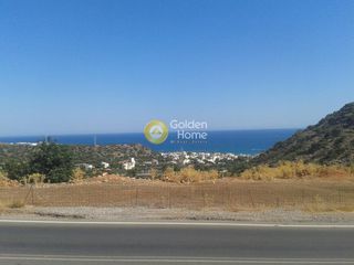 Αγροτεμάχια 6.000 τ.μ. για πώληση