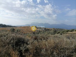Αγροτεμάχια 1.832 τ.μ. για πώληση