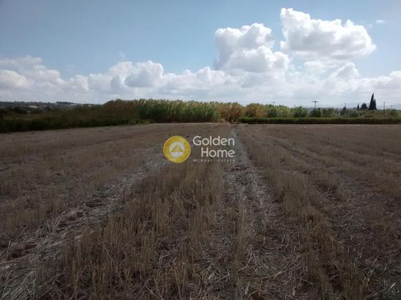 Οικόπεδο 4.620 τ.μ. για πώληση, Βοιωτία, Θεσπιές