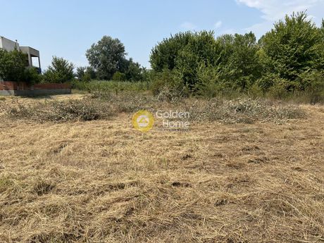 Οικόπεδο 3.106τ.μ. για πώληση-Τρίκαλα » Ριζαρειό