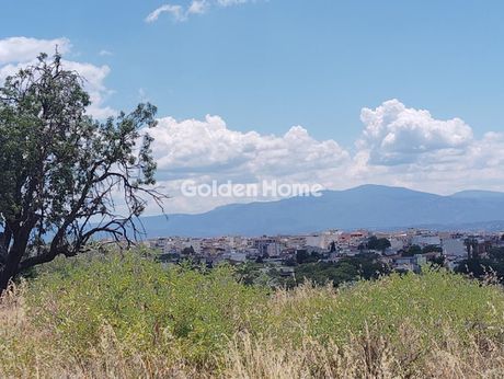 Οικόπεδο 23.000τ.μ. για πώληση-Χαλκίδα » Έξω παναγίτσα