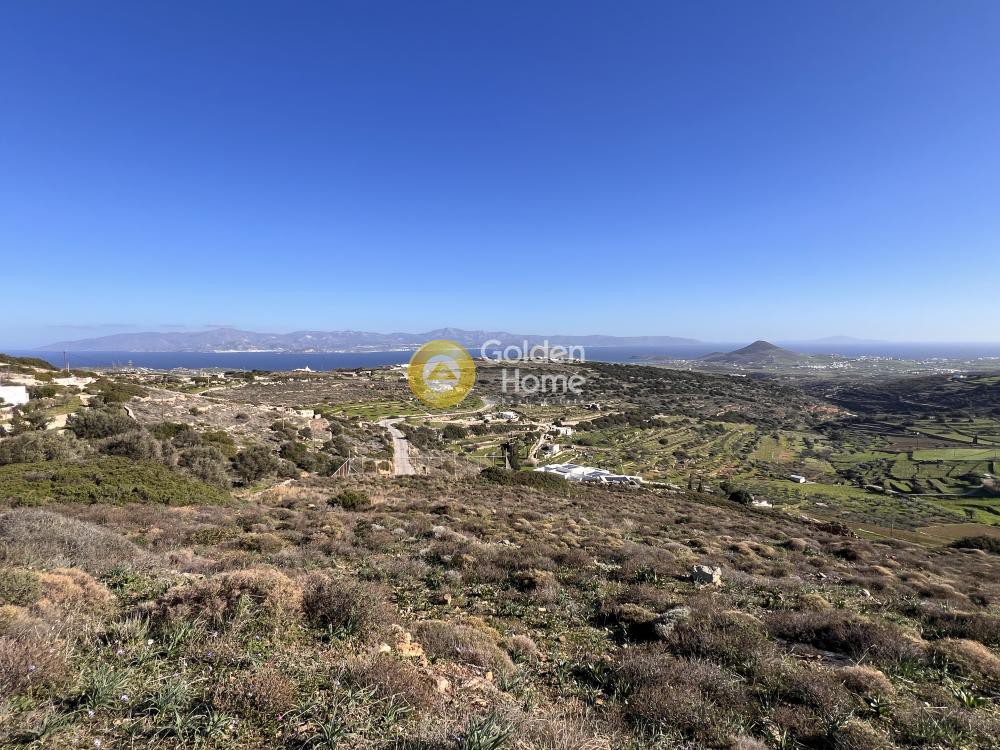 Αγροτεμάχια 10.430 τ.μ. προς πώληση, Κώστος