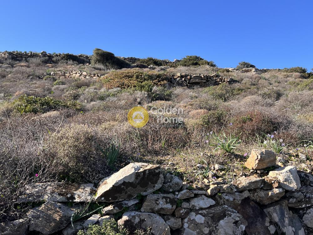 Αγροτεμάχια 10.430 τ.μ. προς πώληση, Κώστος