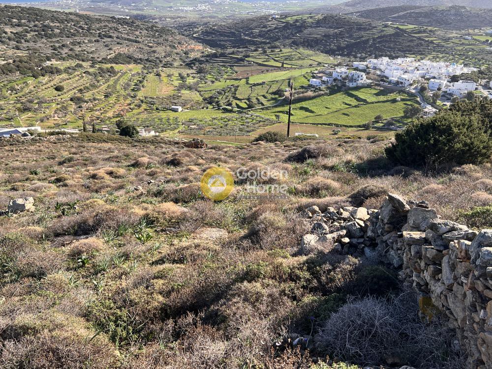 Αγροτεμάχια 10.430 τ.μ. προς πώληση, Κώστος