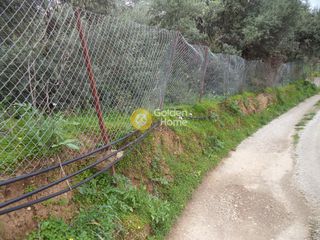 Αγροτεμάχια 1.136 τ.μ. προς πώληση, Άμπελος Ακράτας-thumb-4