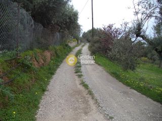 Αγροτεμάχια 1.136 τ.μ. προς πώληση, Άμπελος Ακράτας-thumb-7
