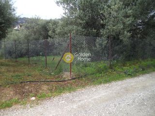 Αγροτεμάχια 1.136 τ.μ. προς πώληση, Άμπελος Ακράτας-thumb-1