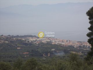 Αγροτεμάχια 1.136 τ.μ. προς πώληση, Άμπελος Ακράτας-thumb-6
