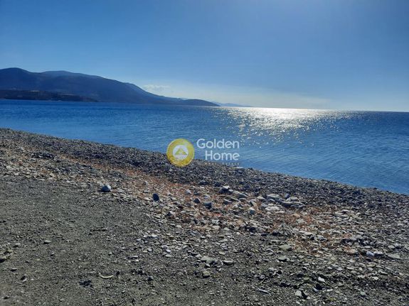 Οικόπεδο 1.053 τ.μ. για πώληση, Φωκίδα, Τολοφώνα