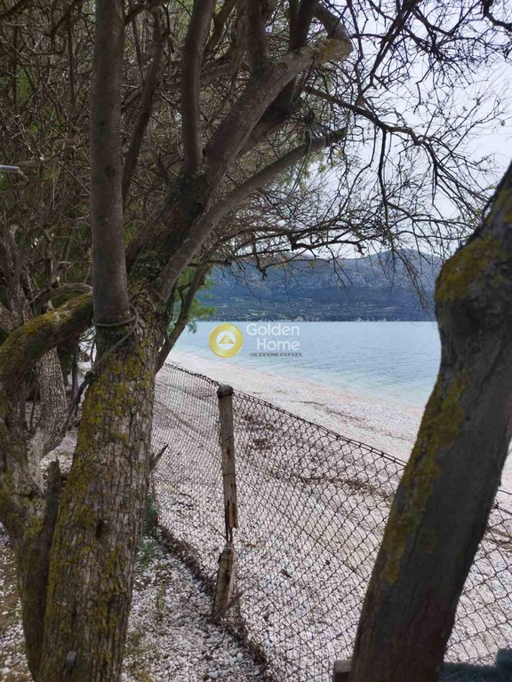 Οικόπεδο 12.000 τ.μ. πρός πώληση, Αιτωλοακαρνανία, Αλυζία