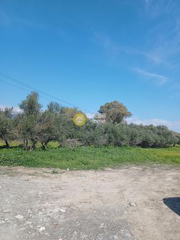 Αγροτεμάχια 1.700τ.μ. για πώληση-Τυμπάκι » Κέντρο