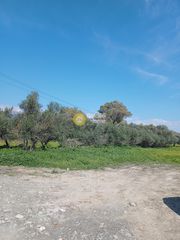 Αγροτεμάχια 1.700 τ.μ. για πώληση