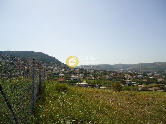 Parcel 1.436 sqm for sale, Athens - East, Koropi