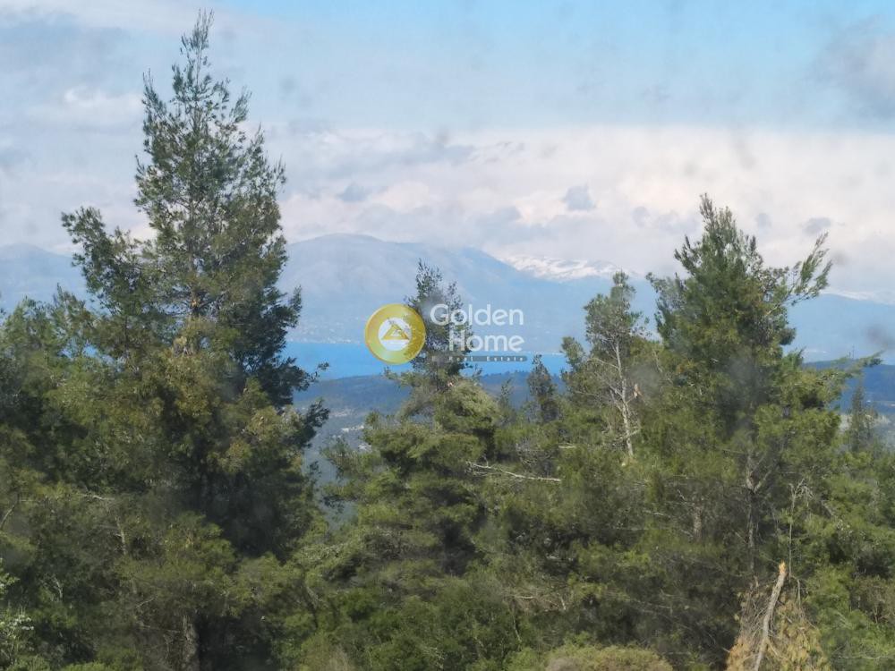 Μονοκατοικία 606 τ.μ. προς πώληση, Αγία Τριάδα Αφιδνών
