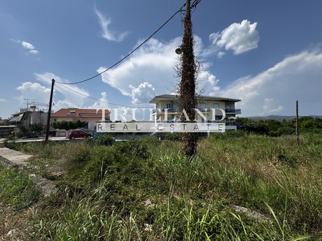 Land plot 695sqm for sale-Filothei