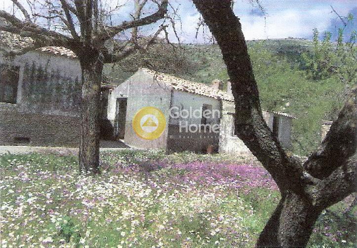 Μονοκατοικία 120 τ.μ. προς πώληση, Κασσιόπη