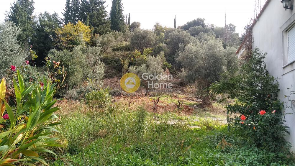 Μονοκατοικία 120 τ.μ. προς πώληση, Κέντρο Ερινεού