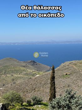 Οικόπεδο 4.025τ.μ. για πώληση-Κέα » Αγία μαρίνα