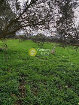 Αγροτεμάχια 4.002τ.μ. για πώληση-Γορτύνα » Μητρόπολη