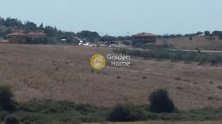 Αγροτεμάχια 6.250 τ.μ. προς πώληση, Άγιος Αθανάσιος Σιθωνίας-thumb-2