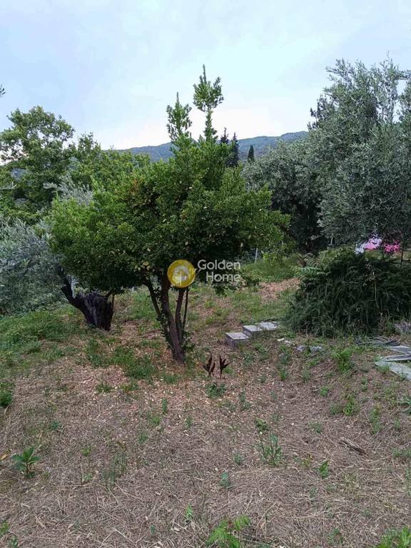 Μονοκατοικία 60 τ.μ. προς πώληση, Βυζίτσα