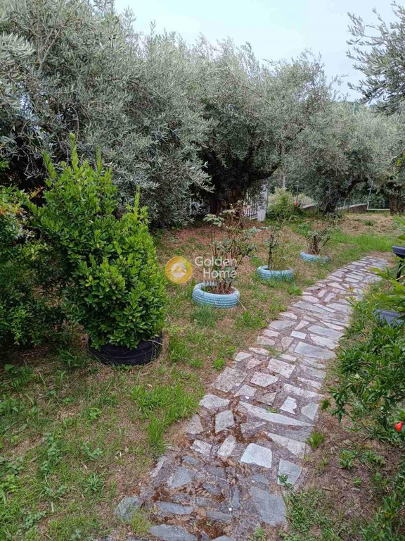 Μονοκατοικία 60 τ.μ. προς πώληση, Βυζίτσα