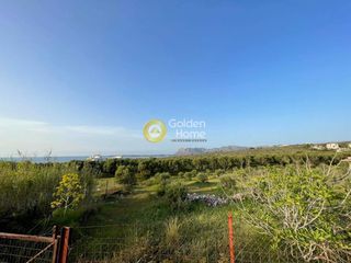 Οικόπεδο 1.706 τ.μ. για πώληση