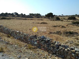 Αγροτεμάχια 10.375 τ.μ. για πώληση, Ν. Σερρών, Ηρακλειά-thumb-4