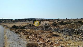 Αγροτεμάχια 10.375 τ.μ. για πώληση, Ν. Σερρών, Ηρακλειά-thumb-3