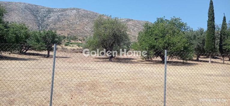 Land plot 7.500 sqm for sale, Rest Of Attica, Kouvaras