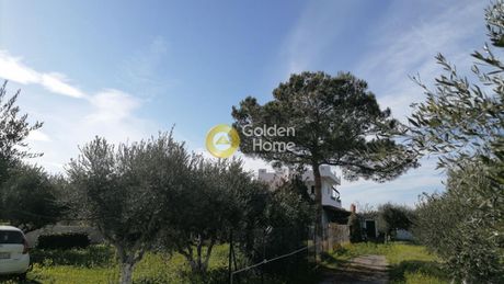 Οικόπεδο 1.400τ.μ. για πώληση-Επισκοπή » Σγουροκεφάλι
