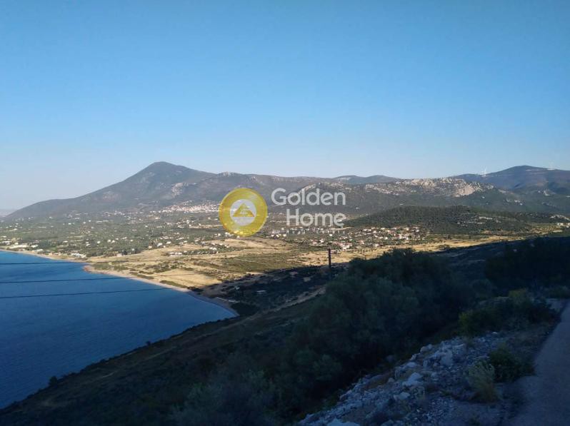 Οικόπεδο 166.500 τ.μ. προς πώληση, Κέντρο Ανθηδώνος