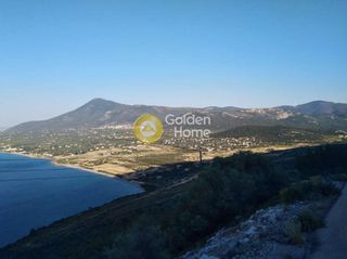 Οικόπεδο 166.500 τ.μ. για πώληση