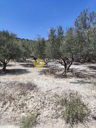 Parcel 3.800 sqm for sale, Heraklion Prefecture, Heraclion Cretes
