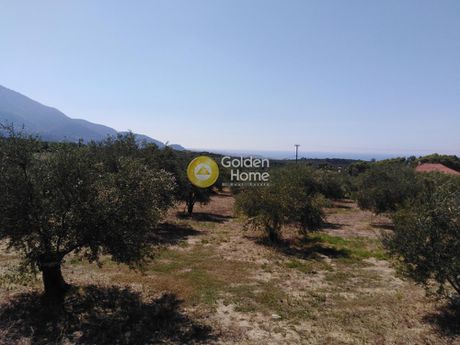 Οικόπεδο 689τ.μ. για πώληση-Κυπαρισσία » Ράχες