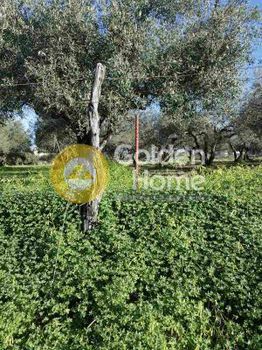 Parcel 2.470sqm for sale-Gouves » Elia