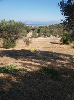 Οικόπεδο 4.488 τ.μ. για πώληση
