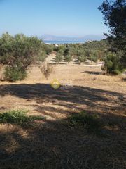 Οικόπεδο 4.488 τ.μ. για πώληση